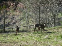 Vinhais-7,8-03-14 (109)